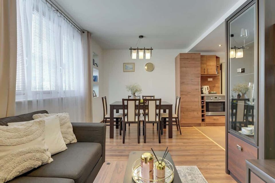 Salon to centralna część apartamentu z rozkładaną sofą i telewizorem z kablówką oraz SMART TV. Elegancka zabudowa i nastrojowe dodatki tworzą przyjemną przestrzeń do relaksu.