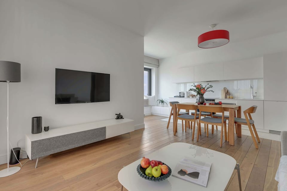 Salon to przytulna strefa relaksu z rozkładaną sofą, telewizorem Smart TV oraz wykuszem z widokiem na rzekę, który dodaje wnętrzu jasności i wyjątkowego charakteru.
