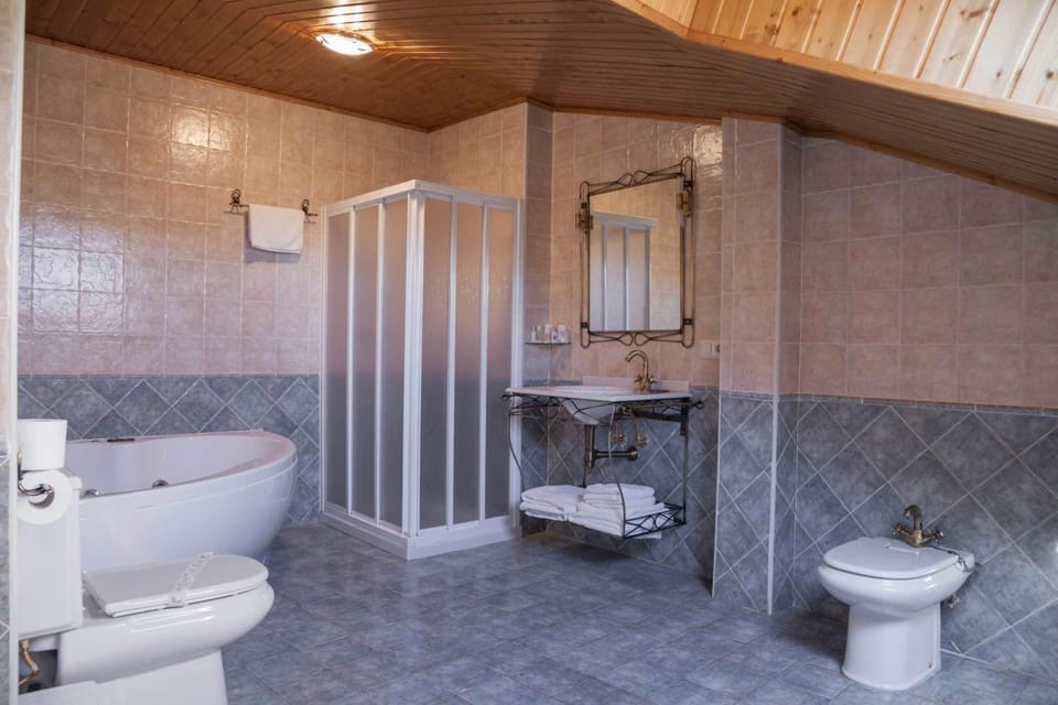 Free toiletries, hair dryer