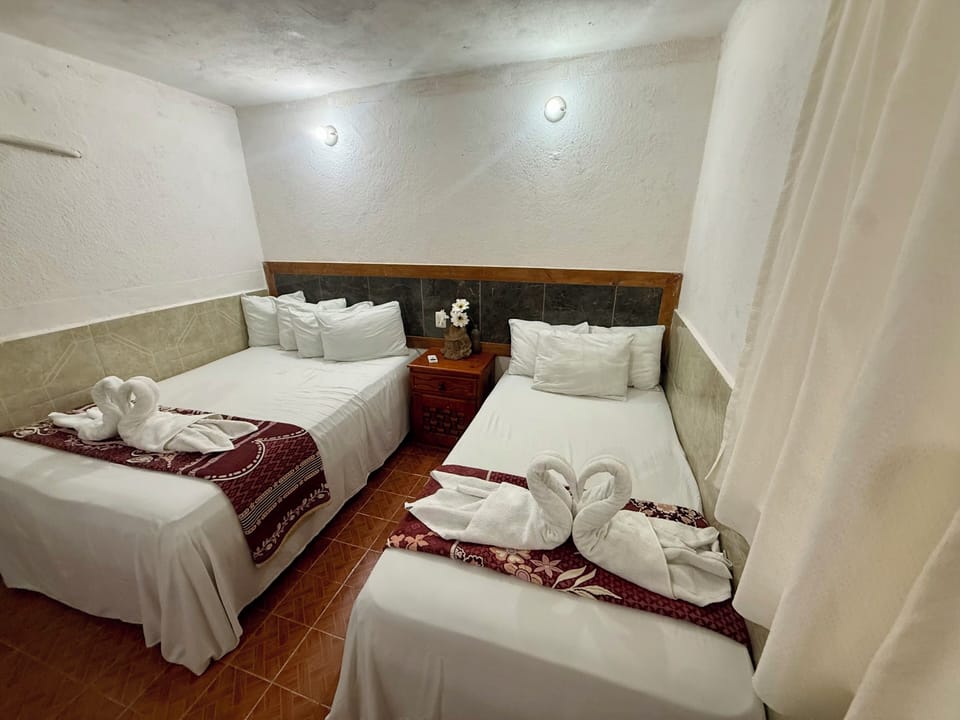 Desk, WiFi (free), bed sheets