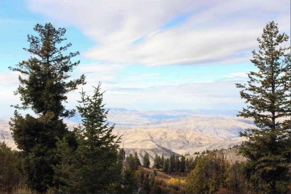 Mountain Views