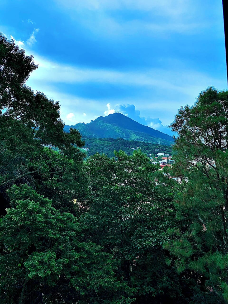 View from property