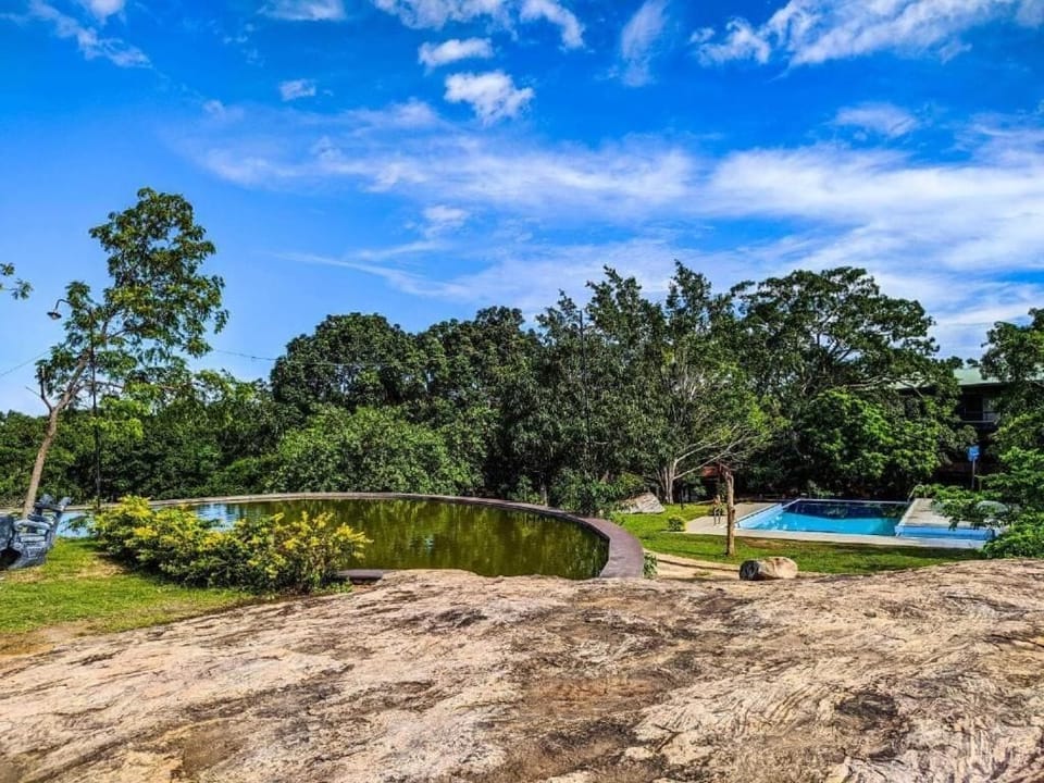 Outdoor pool, pool umbrellas
