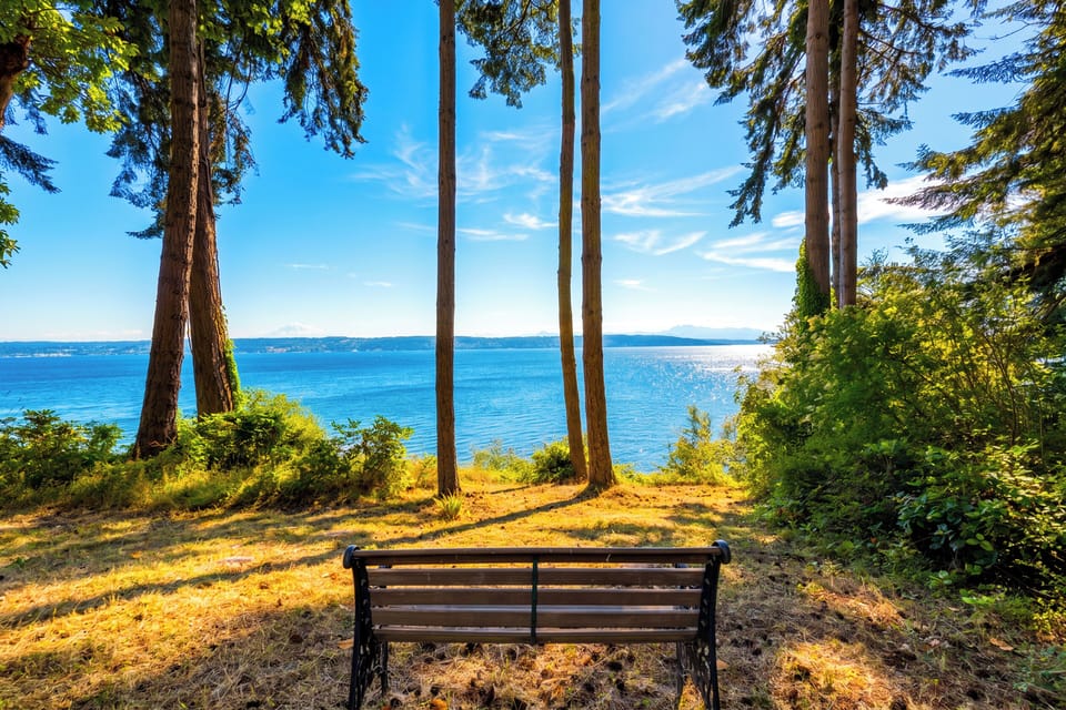 Peaceful wooden bench positioned at the edge of the property for uninterrupted contemplation of the sea.