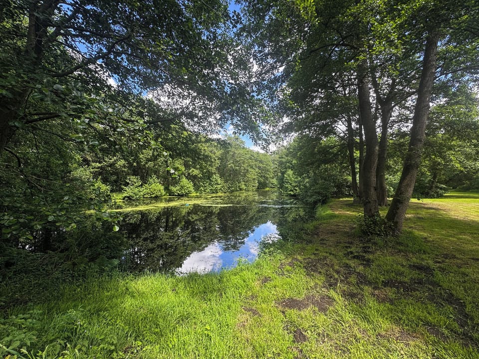 Outdoor | Kingfisher - Hevingham Lakes - Norfolk Caravans and Camping, Hevingham