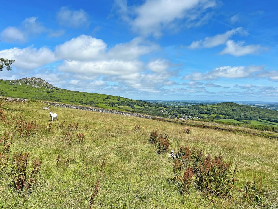 Surrounding area | Cheesewring Cottage - Cheesewring Farm, Minions