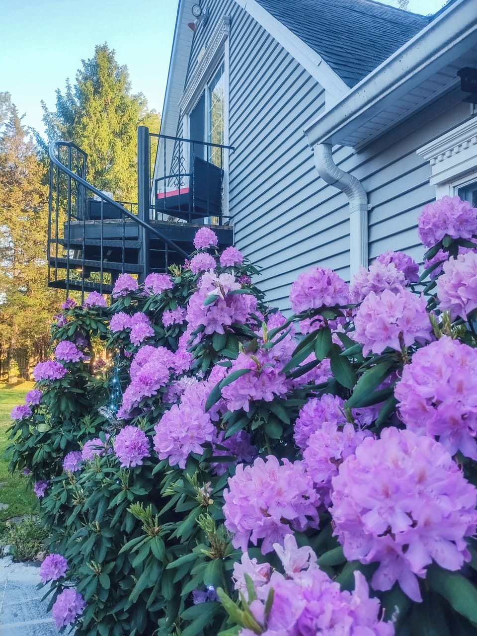 Studio | Exterior detail