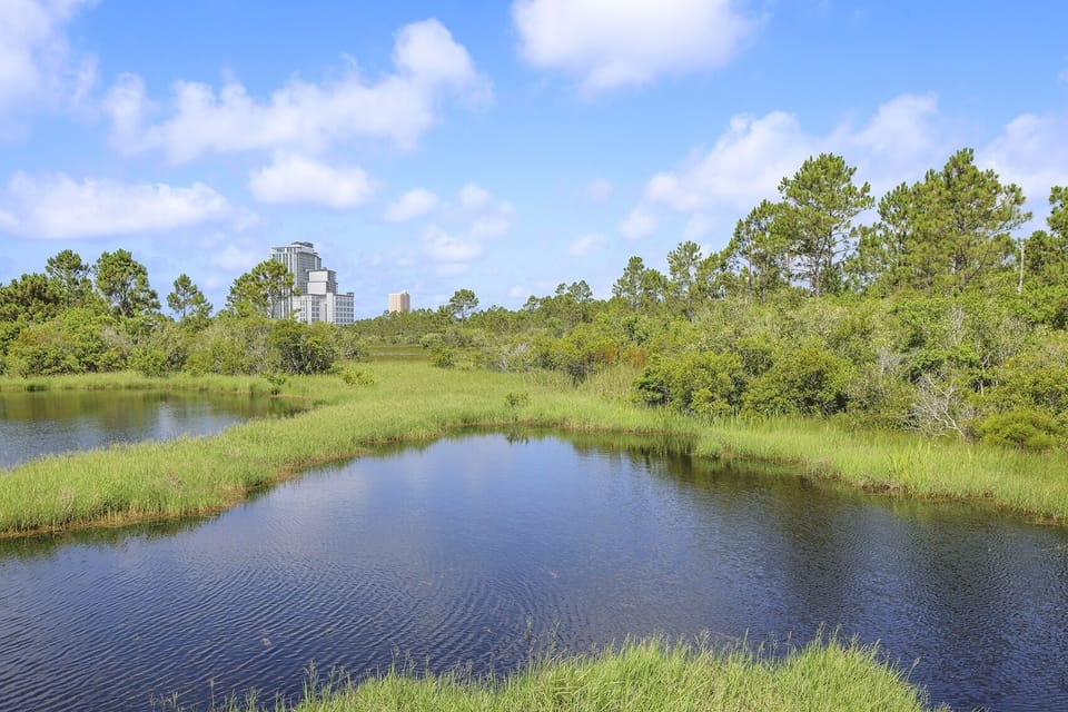 Condo, 2 Bedrooms | Miscellaneous