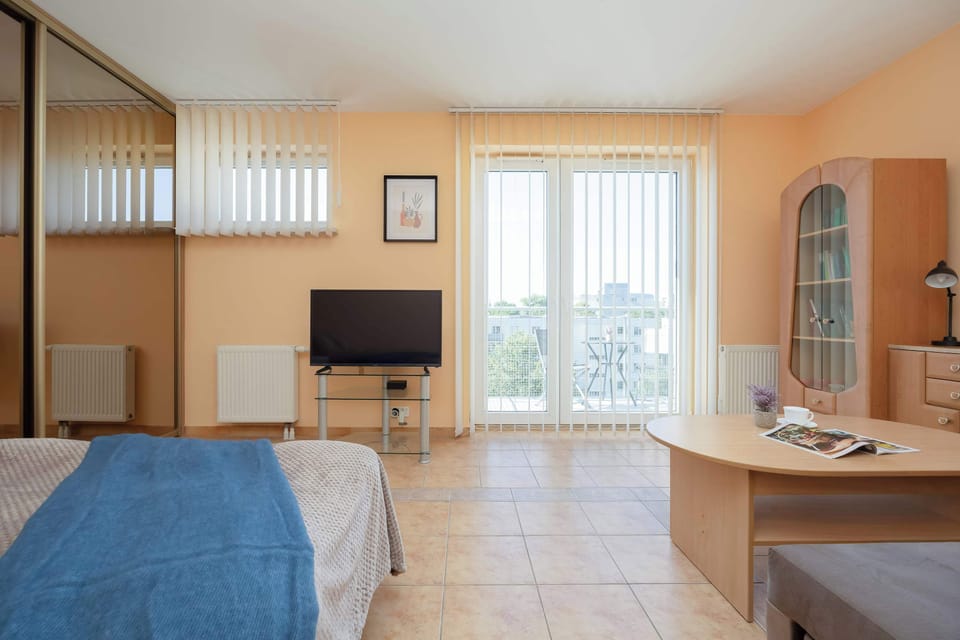 The open-plan studio is viewed from the sleeping area toward the balcony and television. Built-in wardrobes maximize the available storage.