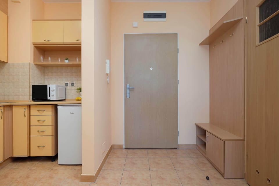 A hallway leads from the entrance into the apartment, with a kitchenette on one side and storage on the other. The layout makes efficient use of the available space.