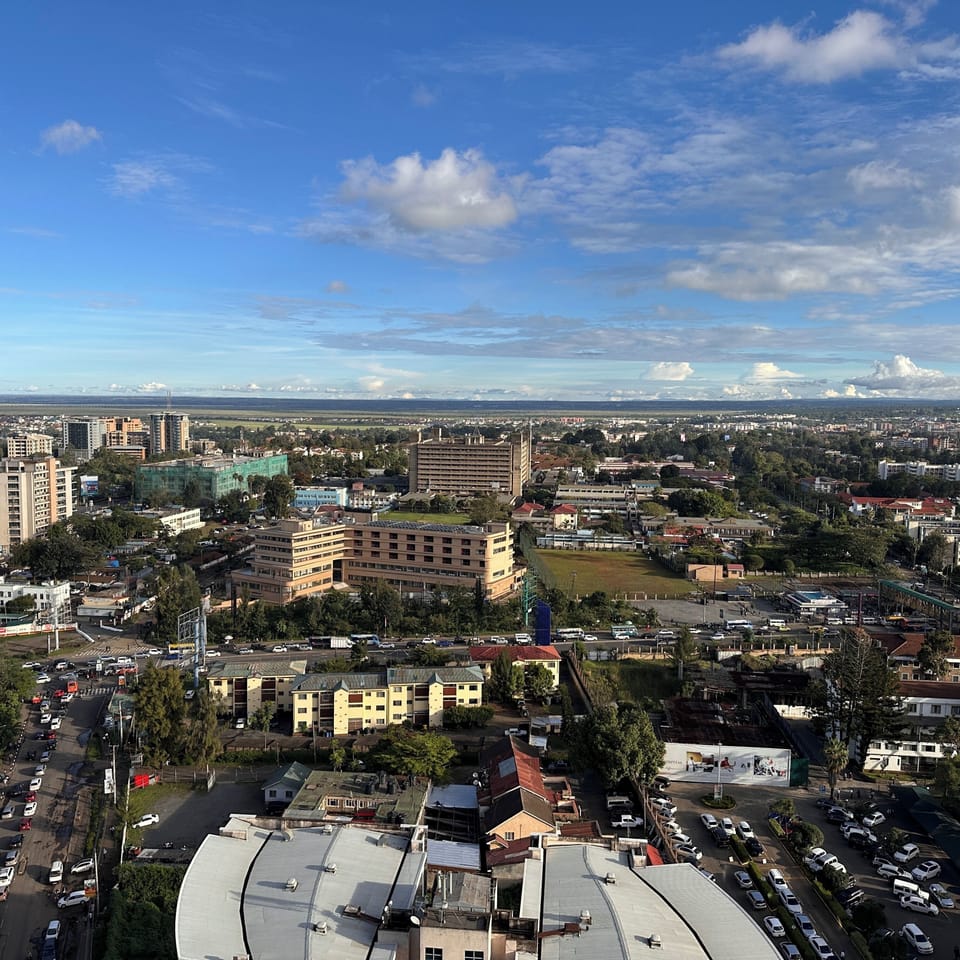 Business Apartment, City View | City view