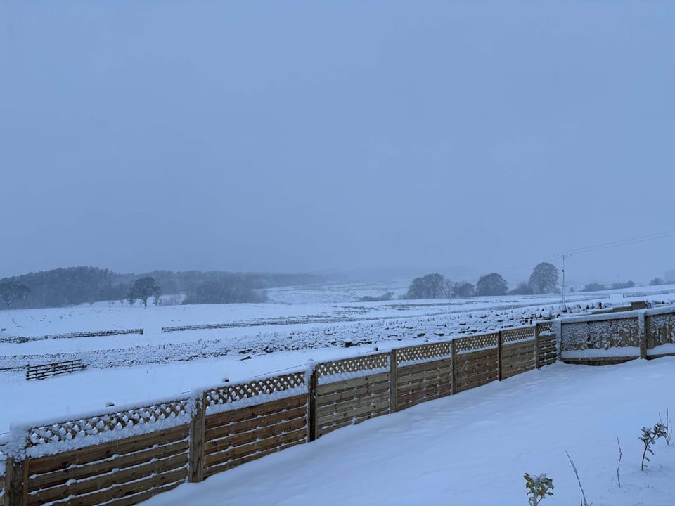 Thistle Cottage, Rochester - Host & Stay