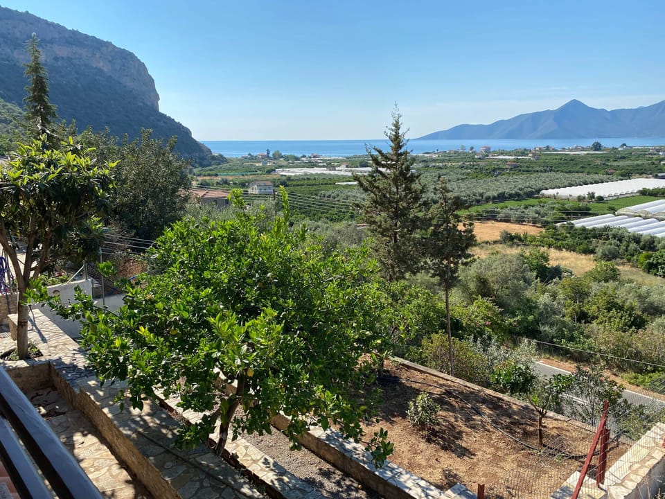 View from terrace