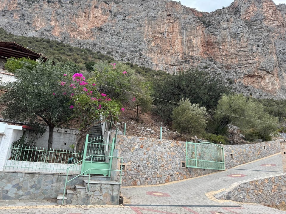 View from street