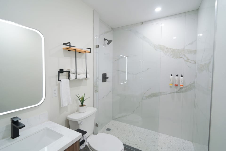 Deluxe Single Room, 1 King Bed, Non Smoking | Bathroom | Shower, towels, soap, shampoo