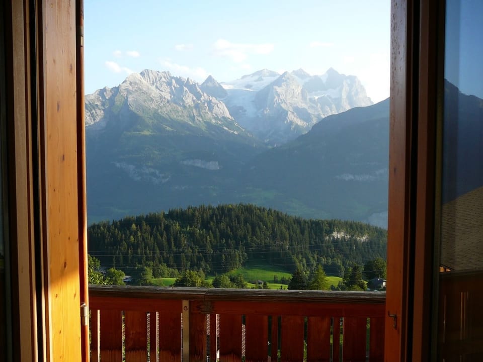 View