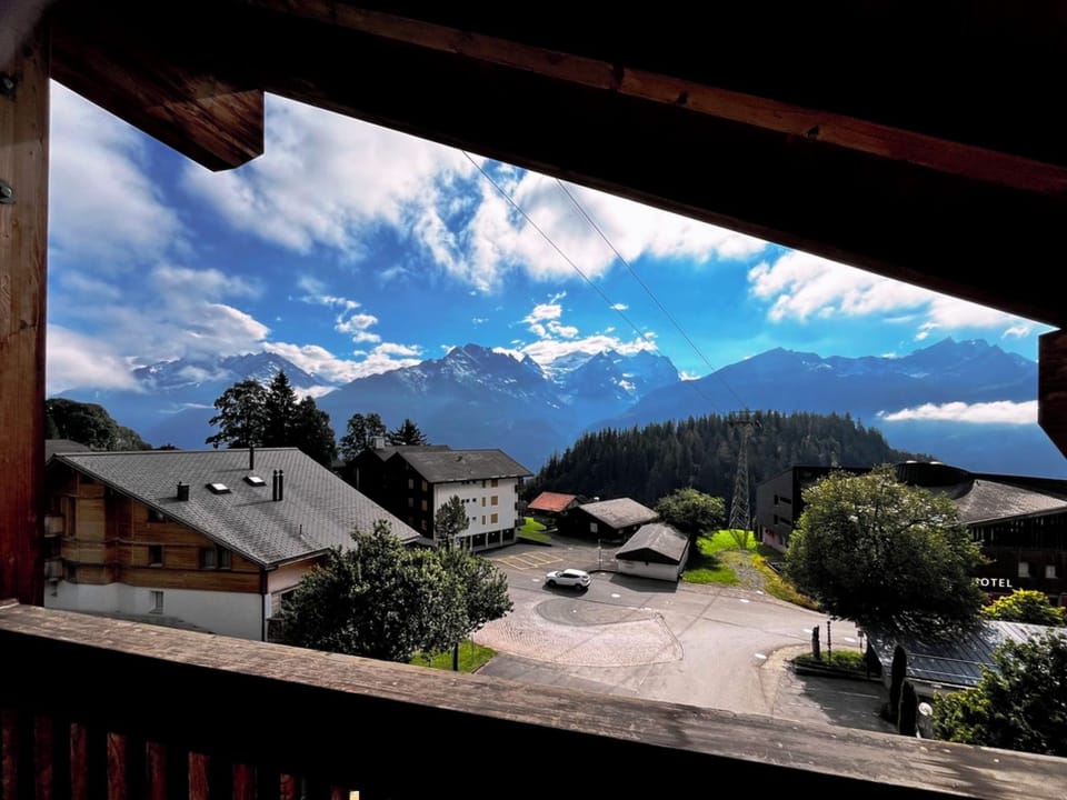 View