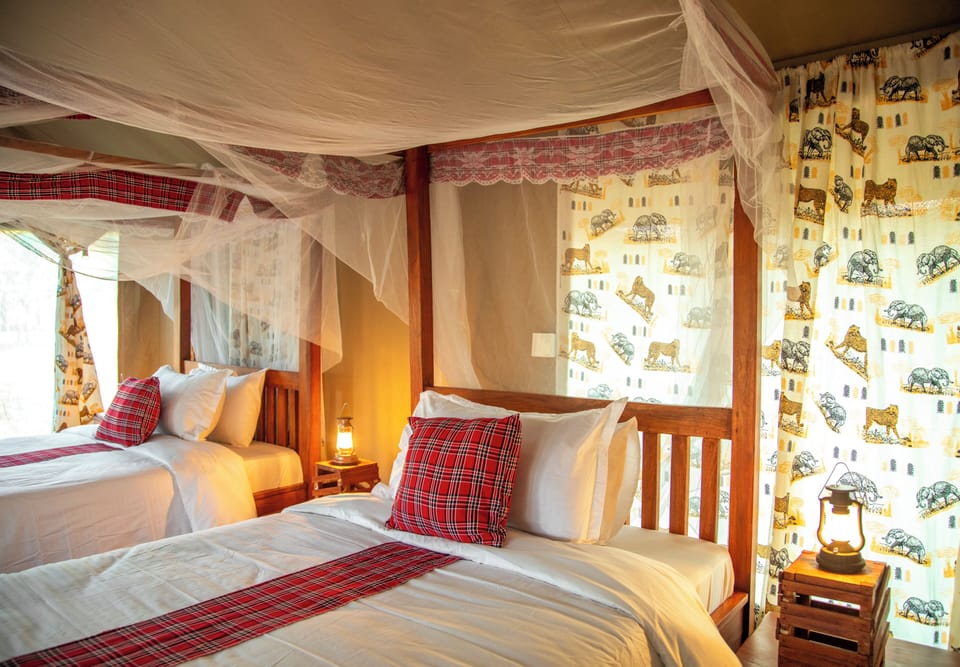 Double or Twin Room, Mountain View | Egyptian cotton sheets, premium bedding, down comforters, WiFi (free)