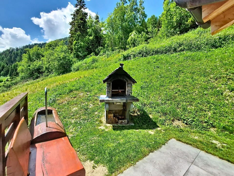 Shrub, Garden, Rural Area, Meadow, Lawn, Landscaping, Yard, Backyard