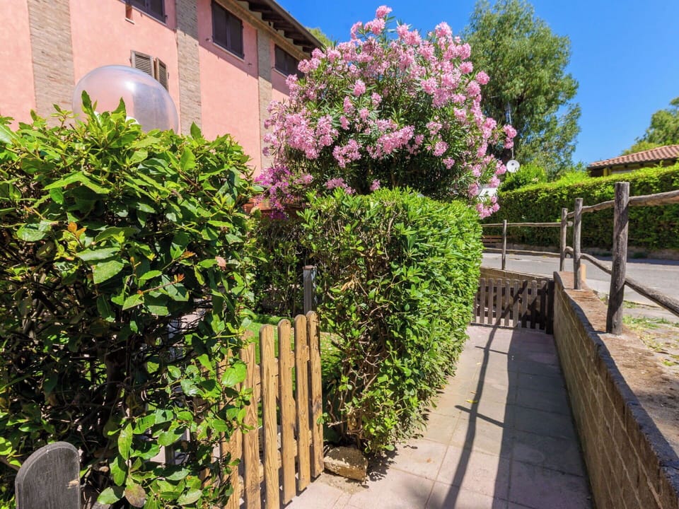 Flower, Shrub, Pink, Garden, Spring, Yard, Landscaping, Backyard, Fence