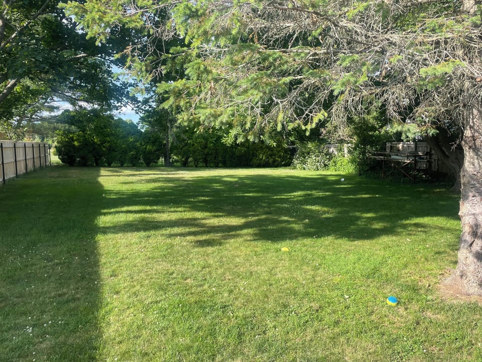 Large Fenced Back Yard 