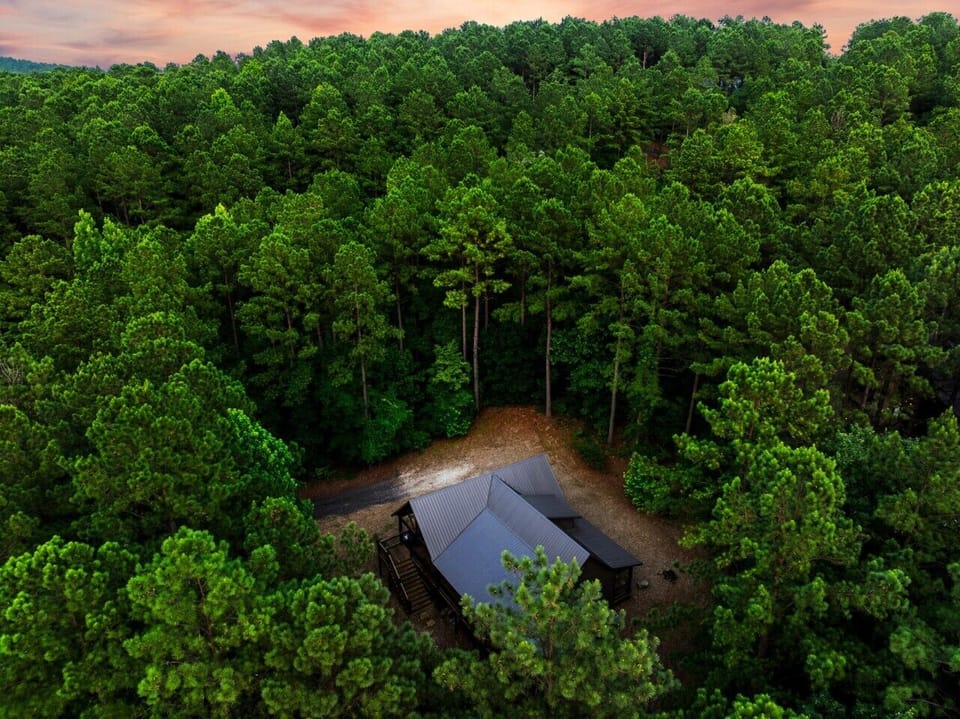 Drone view showing the cabin tucked privately into the pines.