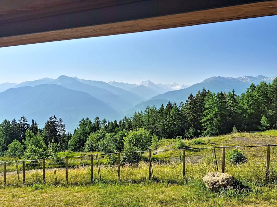 View