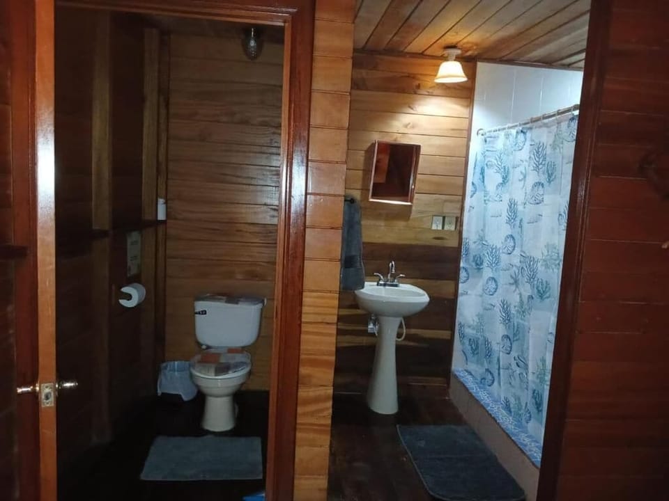 Double Room | Bathroom | Shower, hair dryer (on request), towels