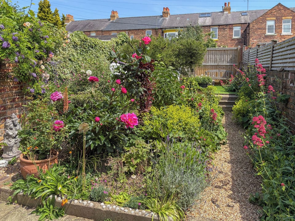 The garden in bloom. The dining area is at the top of the steps. | Ganesh, Scarborough
