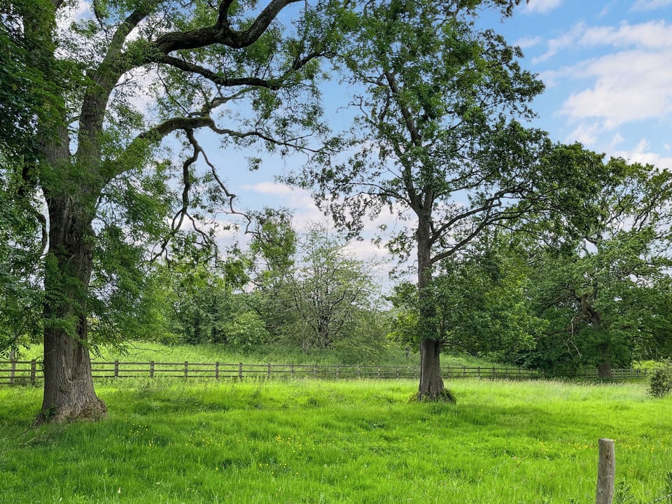 Outdoor | Safiri House, Addingham, near Ilkley
