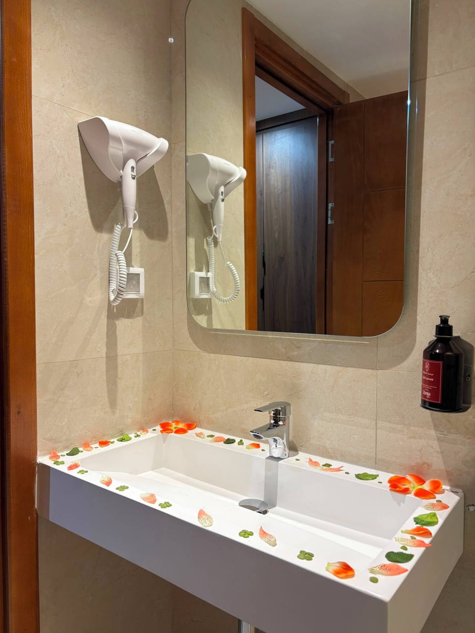 Hair dryer, towels, soap, shampoo
