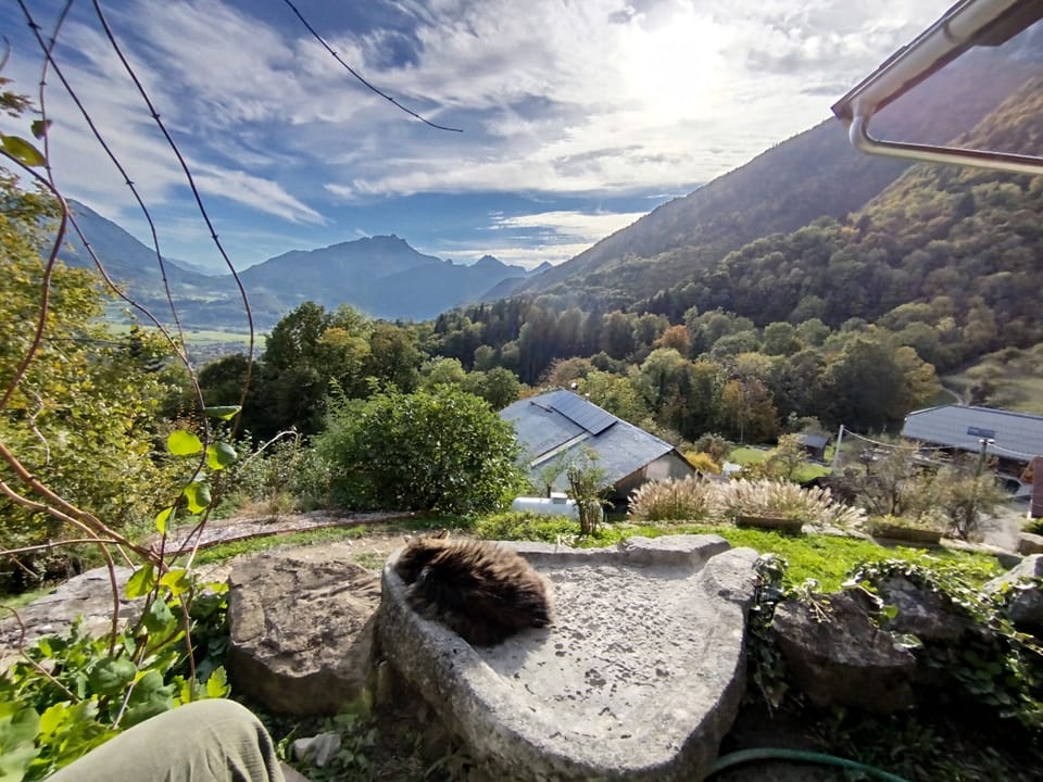 View from property