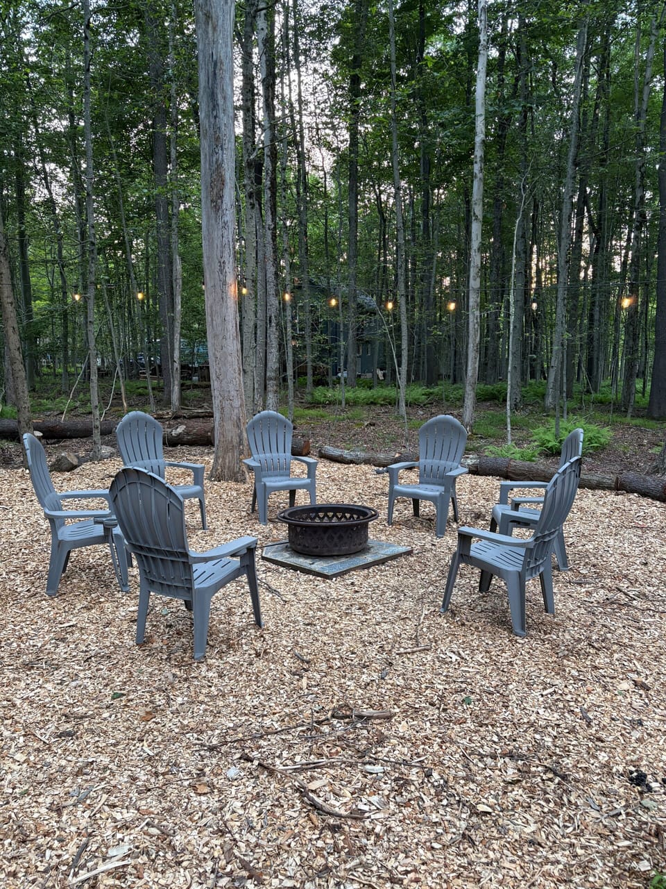 Fire pit area with seating and lighting