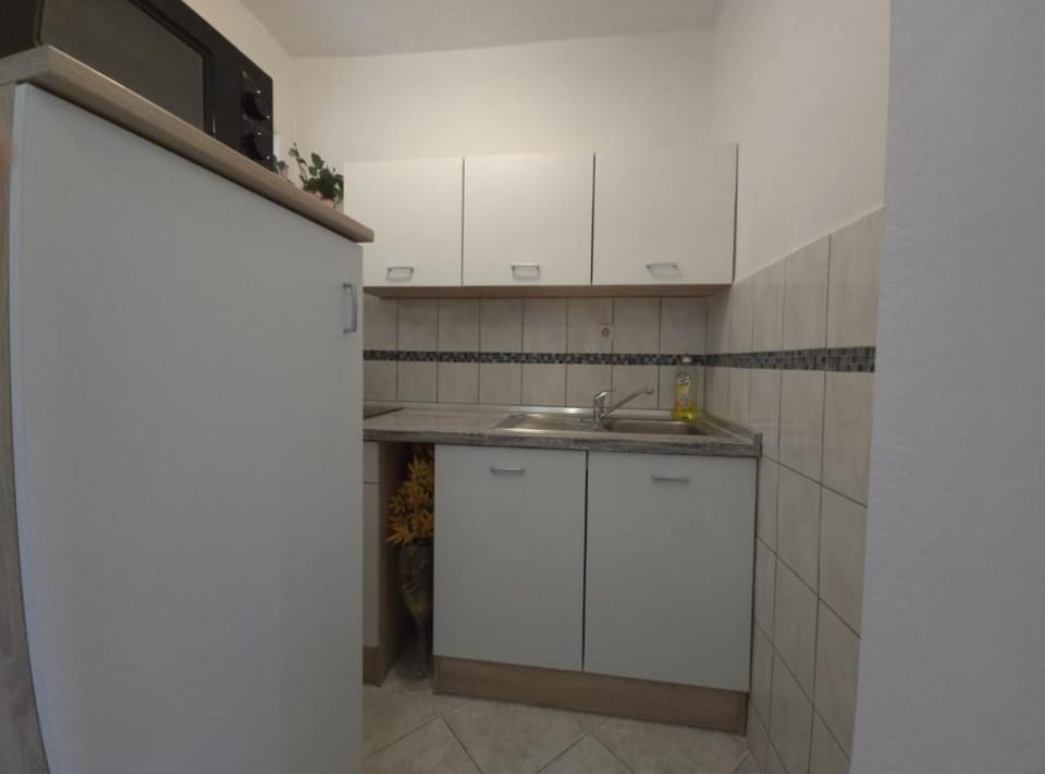 Apartment (Studio apartment 1) | Private kitchen | Fridge