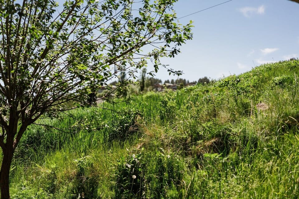 Vue nature