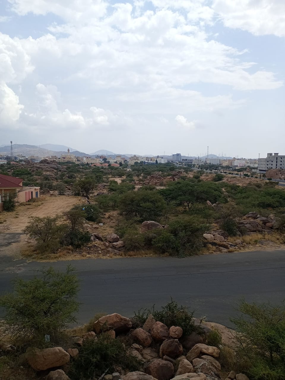Apartment, Park View | Park view