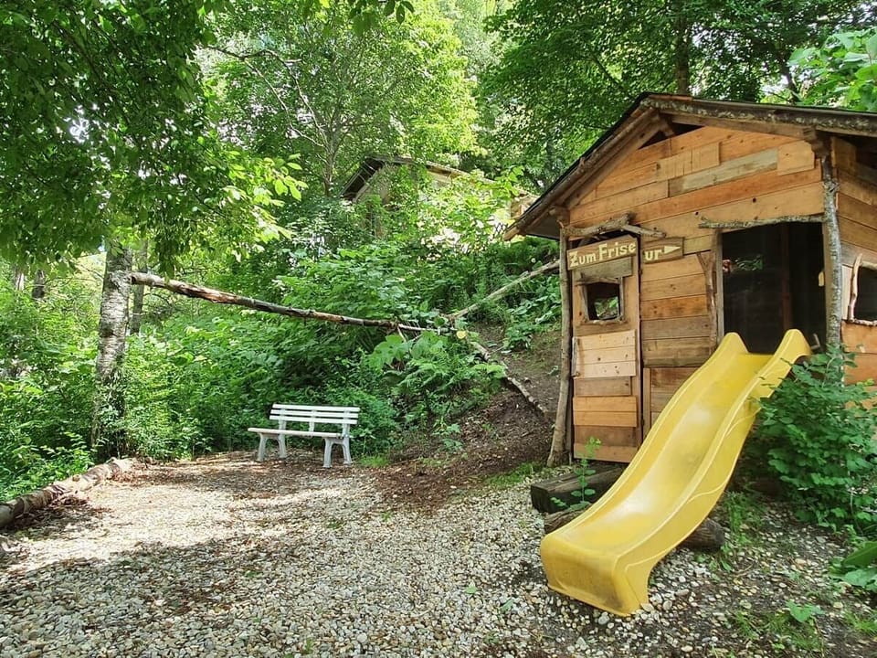 Private woodland opposite house