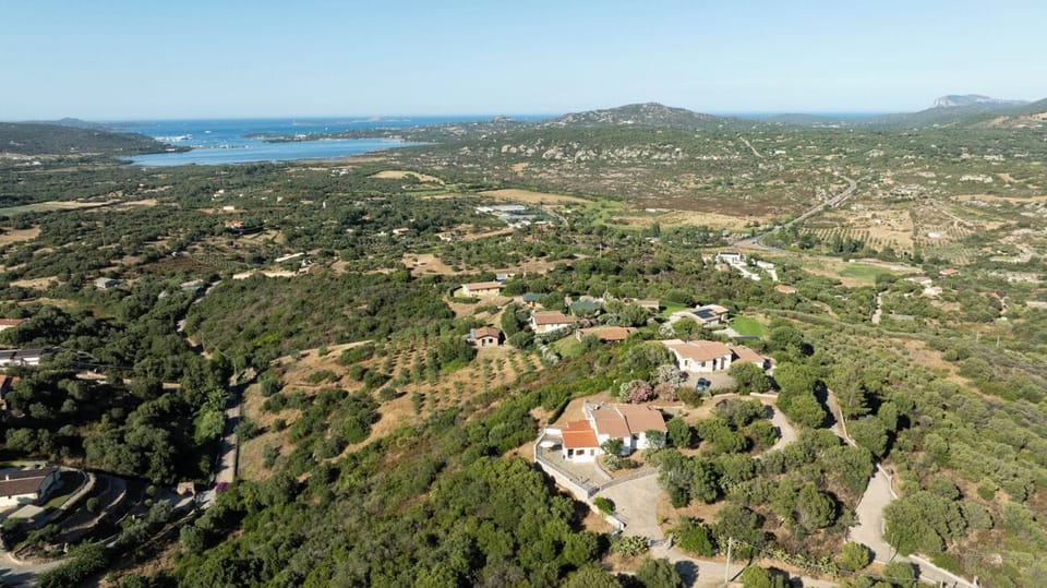 Apartment, 1 Bedroom, Sea View | Aerial view