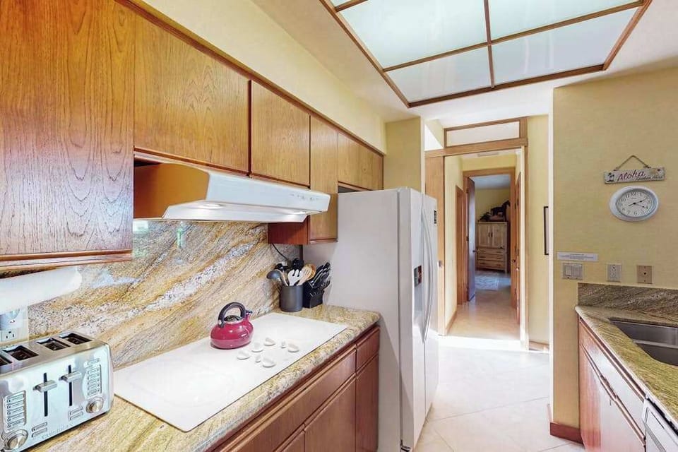 Modern Cooktop, Refrigerator & Custom Wood Cabinetry