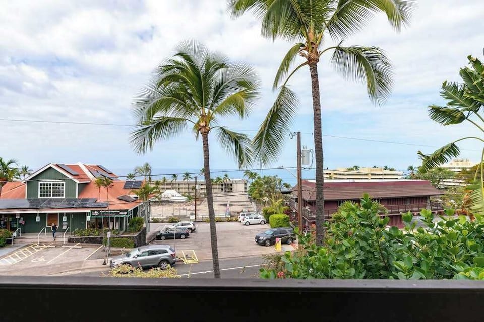 Panoramic Coastal Views, Ocean Horizon, Tropical Palm Trees & Nearby Town