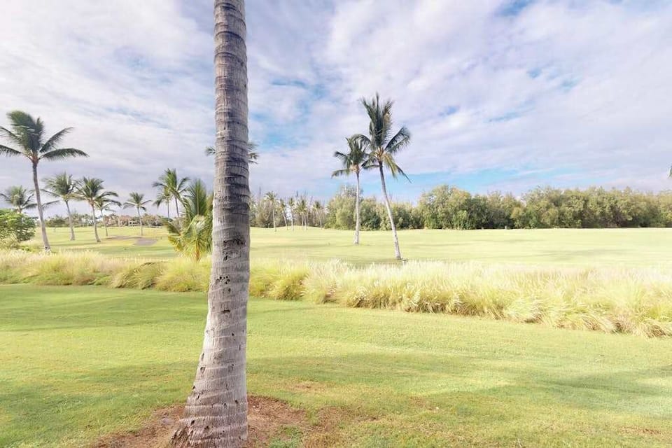 Peaceful tropical lawn just steps away