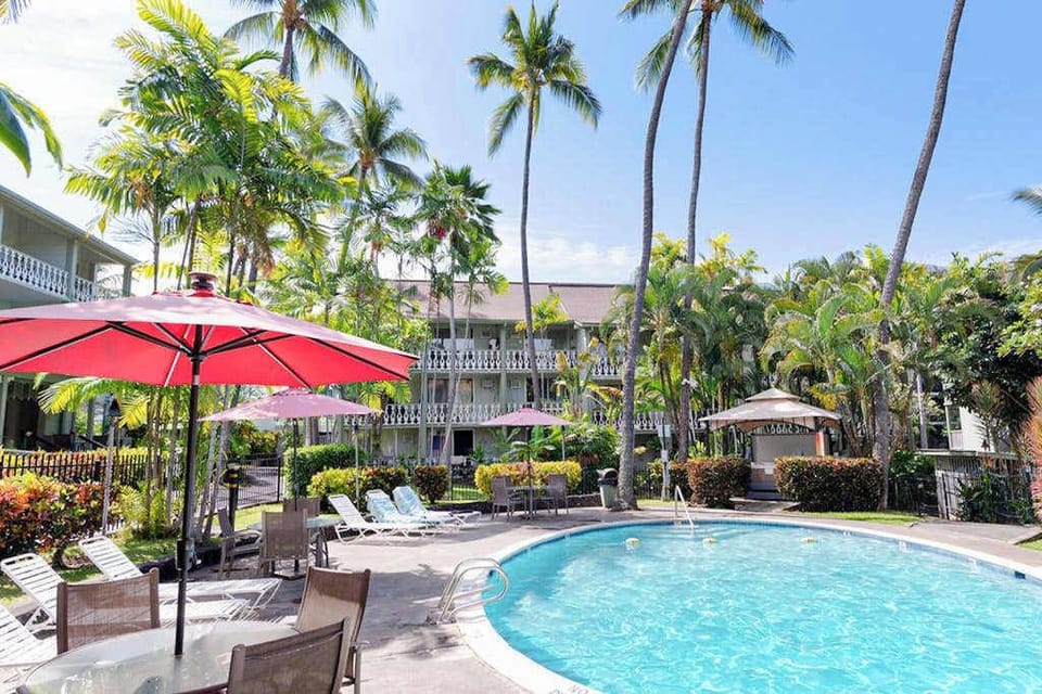 Poolside Paradise Under Swaying Palms