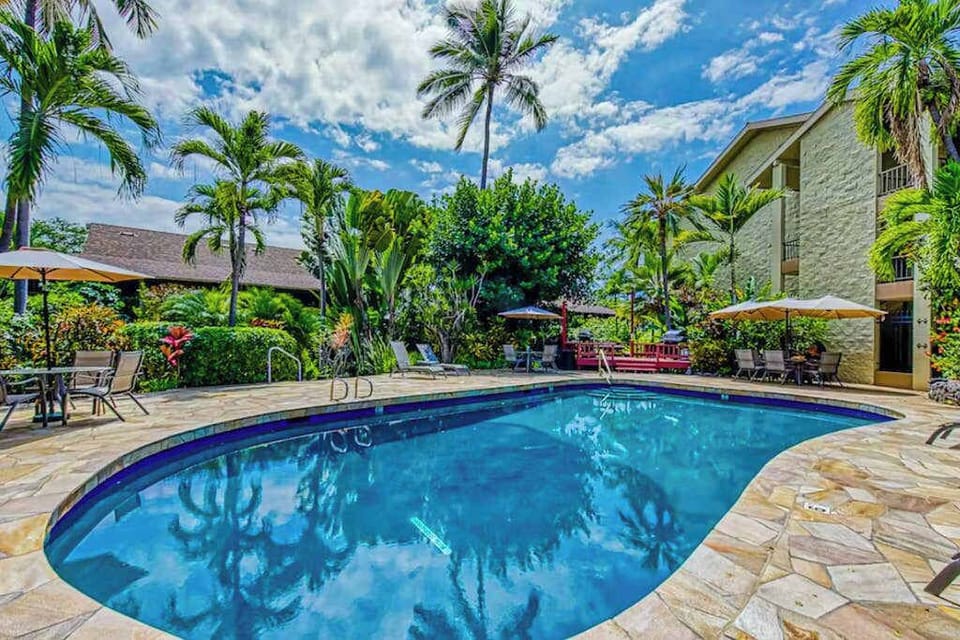 Tropical Pool Retreat