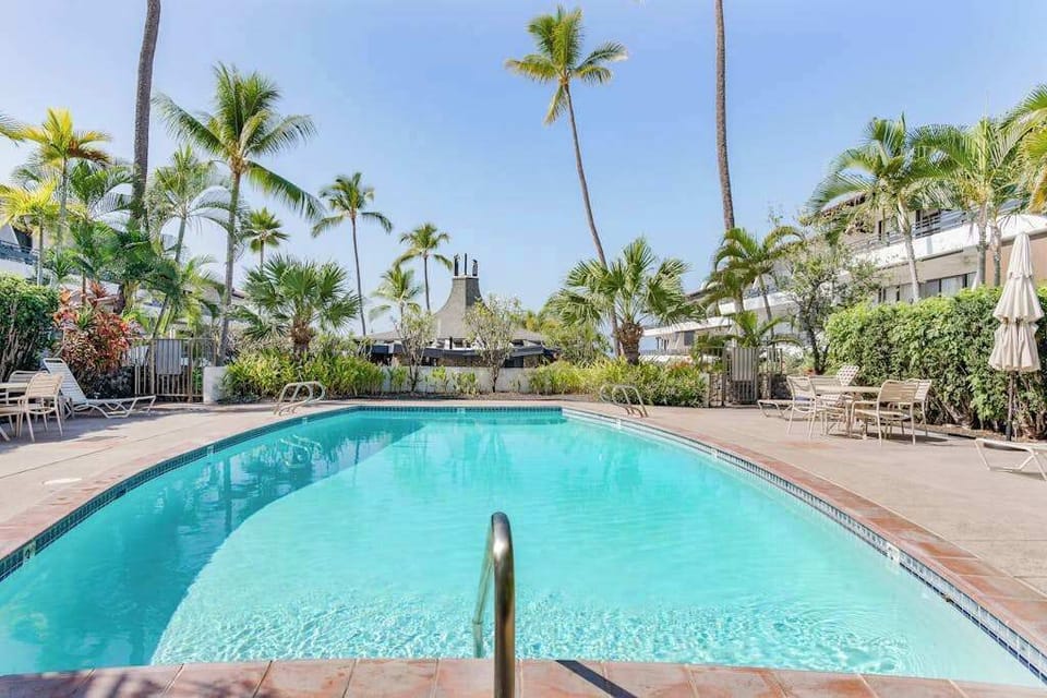 Resort-Style Outdoor Swimming Pool Surrounded by Tropical Palm Trees