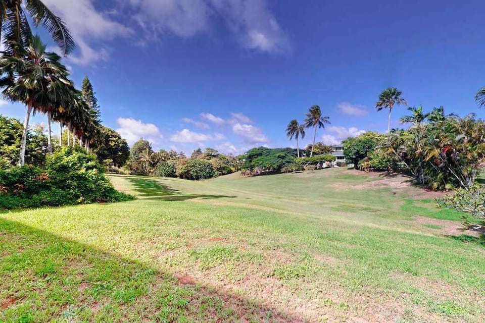 Expansive Lush Outdoor Lawn