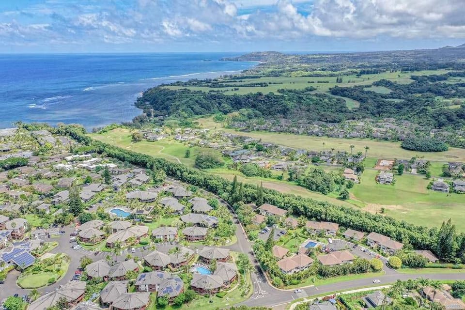 Breathtaking Paniolo Neighborhood Vistas
