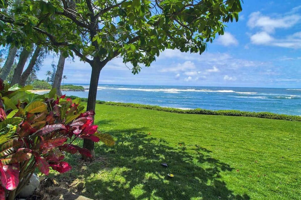 Oceanfront Lawn Under Tropical Trees