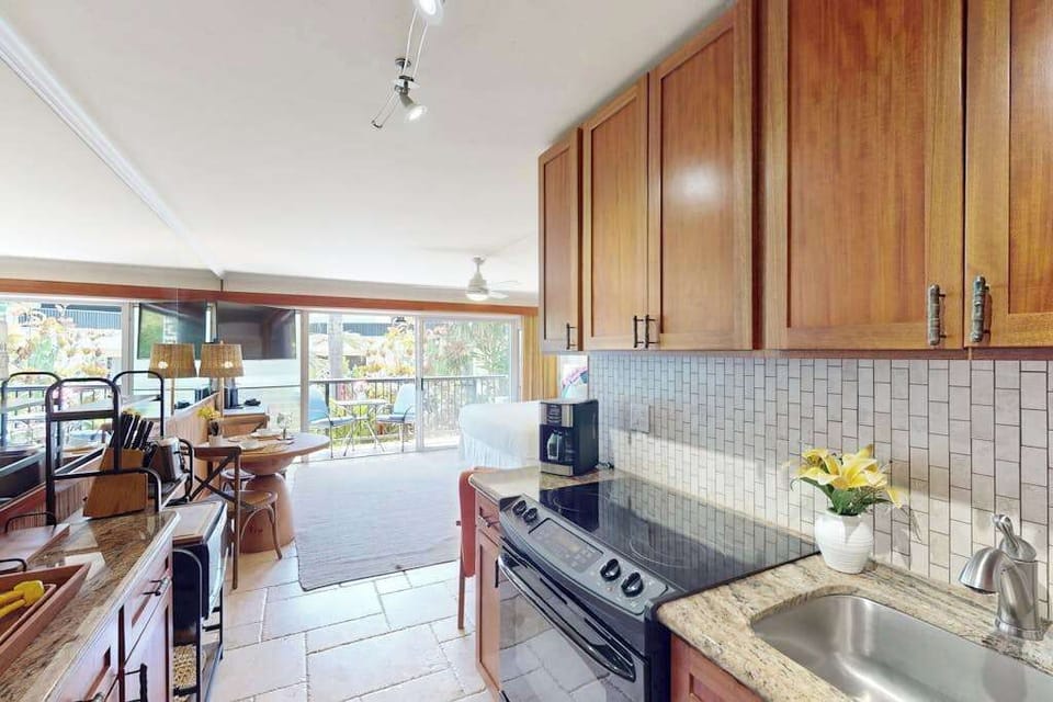 Well Equipped Galley Kitchenette