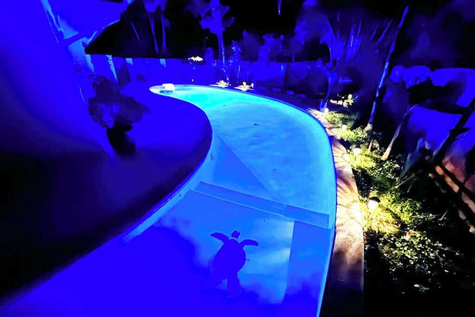 Blue illuminated pool curves through tropical gardens after sunset nearby