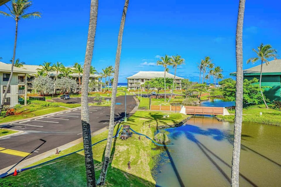 Scenic Lagoon Views From Above
